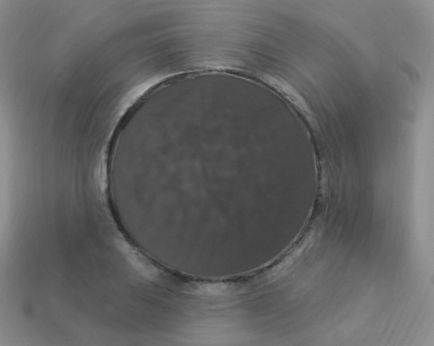 X0000113271031200910081356