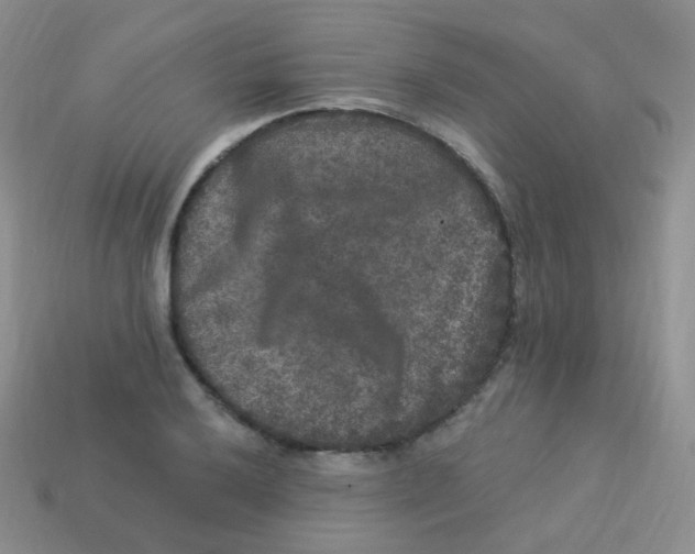 X0000113271032200910081356