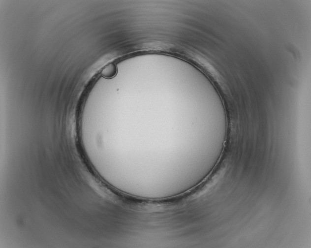 X0000113271034200910081356