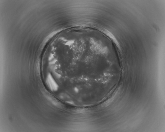 X0000113271035200910081356