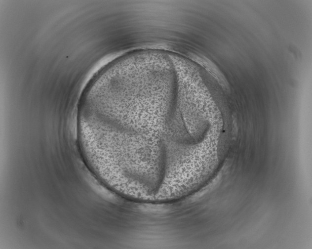 X0000113271036200910081356