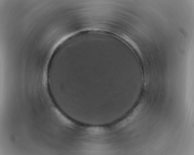 X0000113271037200910081356