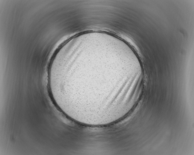 X0000113271040200910081356