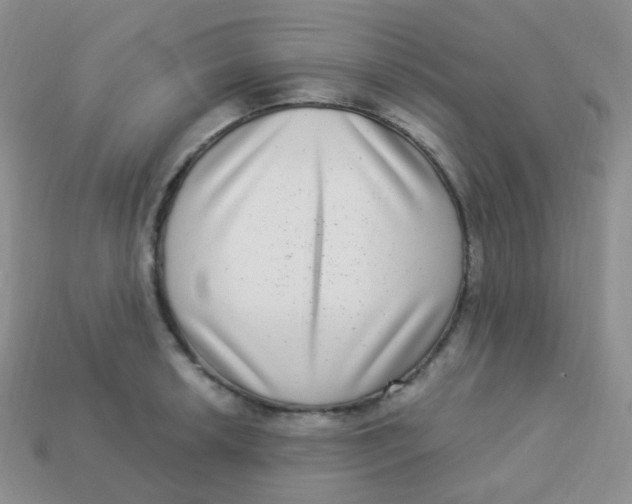 X0000113271042200910081356