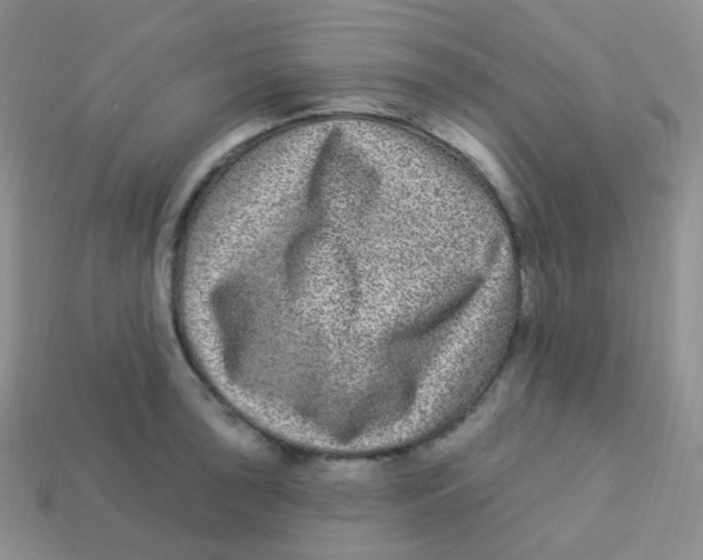 X0000113271043200910081356