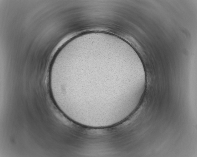 X0000113271044200910081356