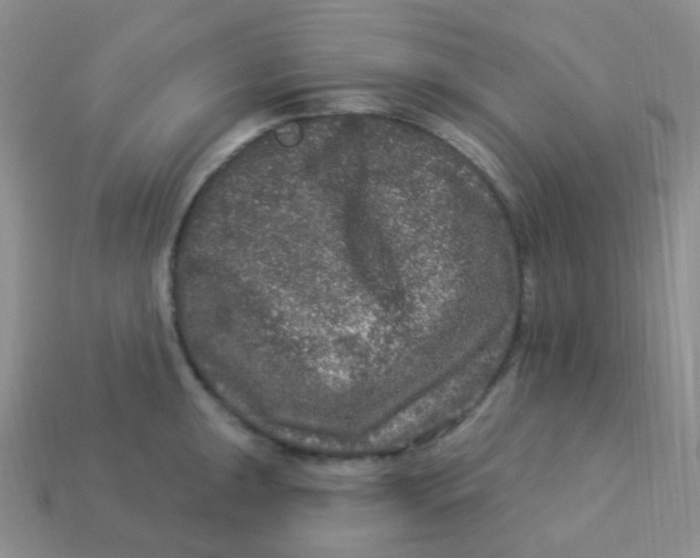 X0000113271047200910081356