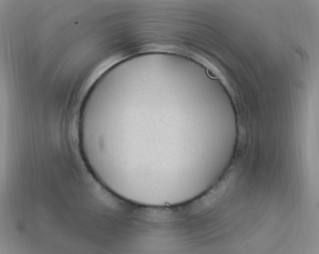 X0000113271050200910081356