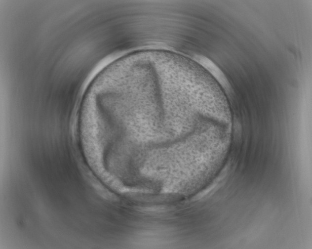 X0000113271052200910081356