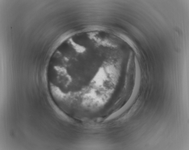 X0000113271055200910081356