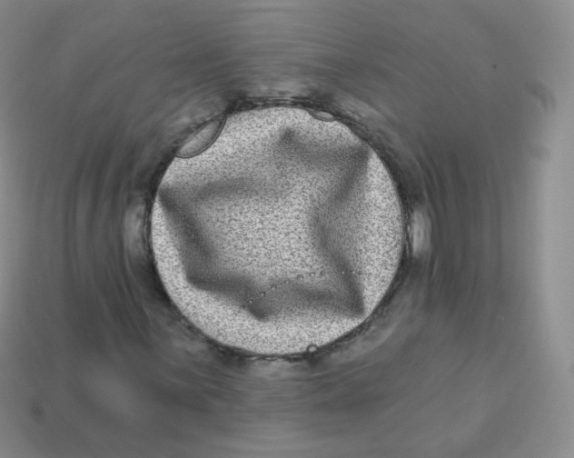 X0000113271059200910081356