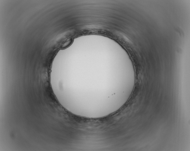 X0000113271062200910081356