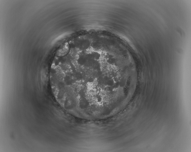 X0000113271063200910081356