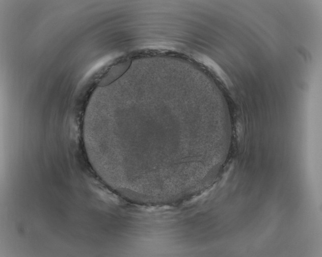 X0000113271064200910081356