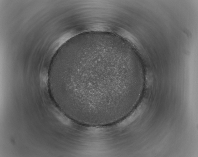 X0000113271065200910081356