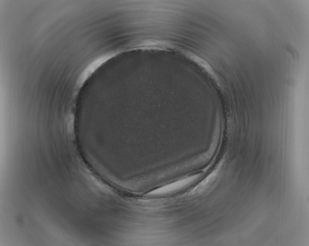 X0000113271066200910081356