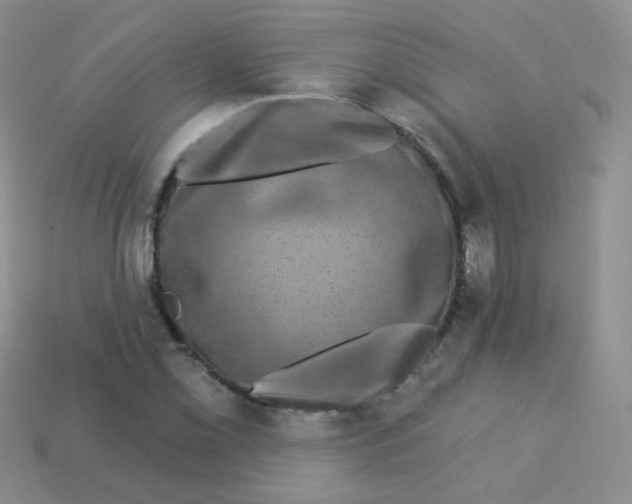 X0000113271069200910081356