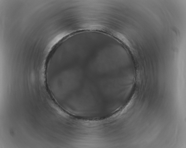 X0000113271071200910081356