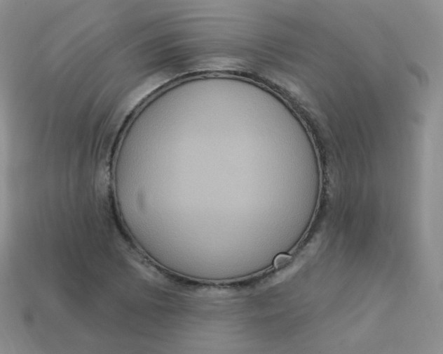 X0000113271073200910081356