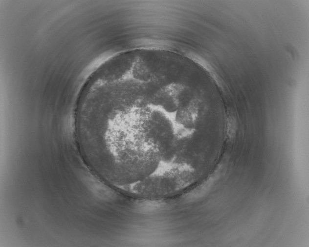 X0000113271074200910081355