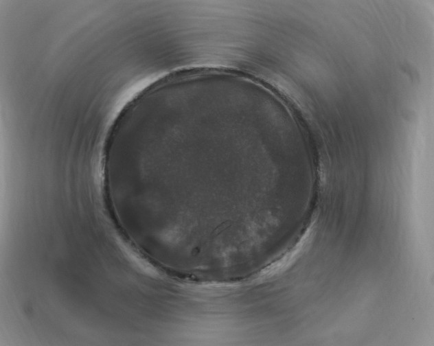 X0000113271077200910081355