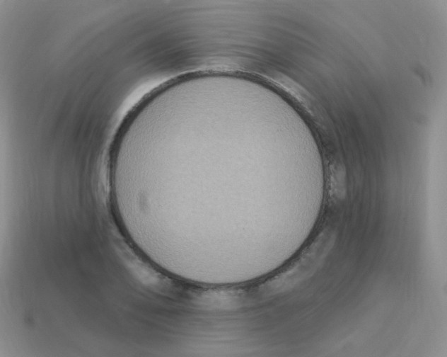 X0000113271078200910081355