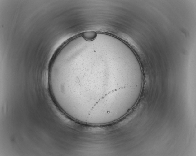 X0000113271079200910081355