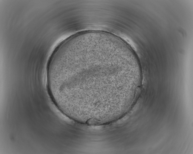 X0000113271080200910081355