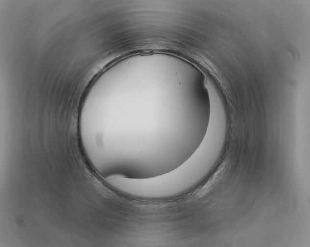 X0000113271081200910081355