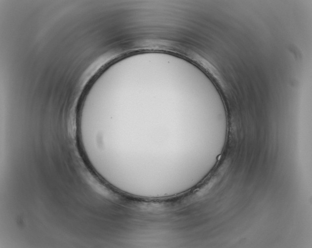 X0000113271082200910081355