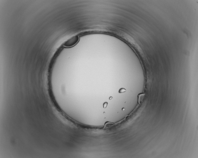 X0000113271085200910081355