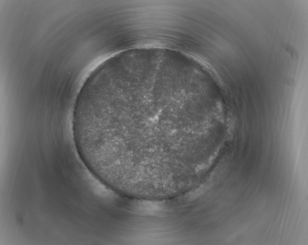 X0000113271086200910081355