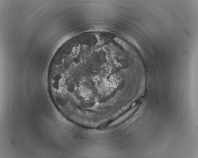 X0000113271087200910081355