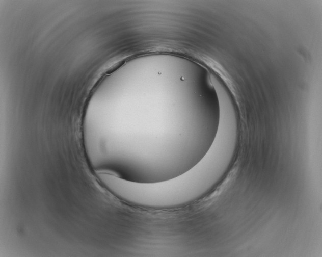 X0000113271089200910081355