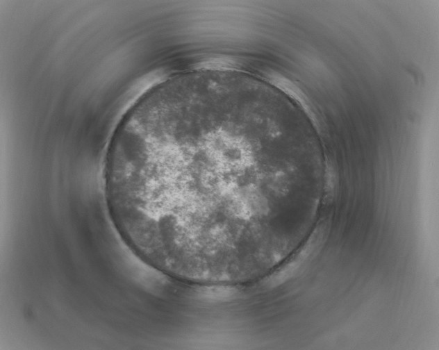 X0000113271090200910081355