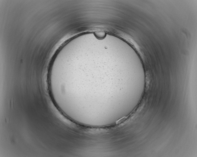 X0000113271091200910081355