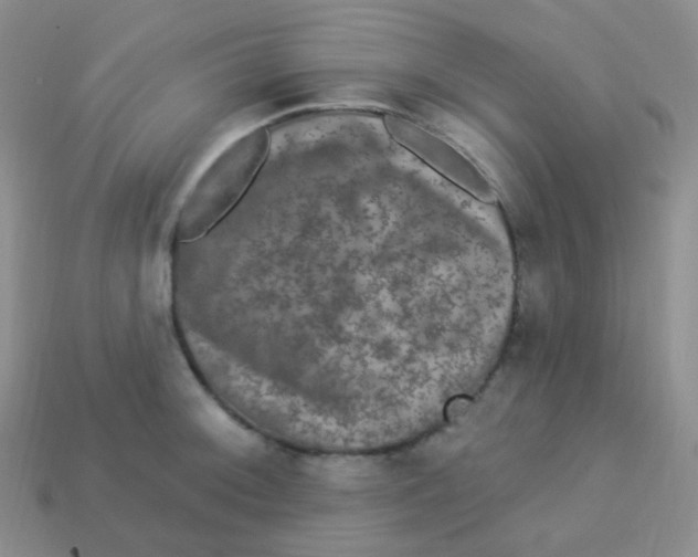 X0000113271092200910081355