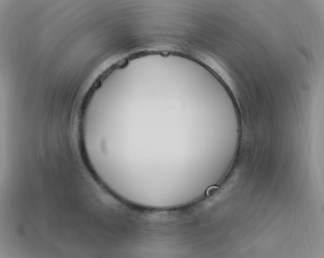 X0000113271093200910081355