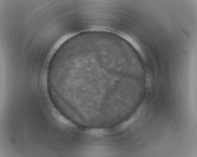 X0000113271094200910081355