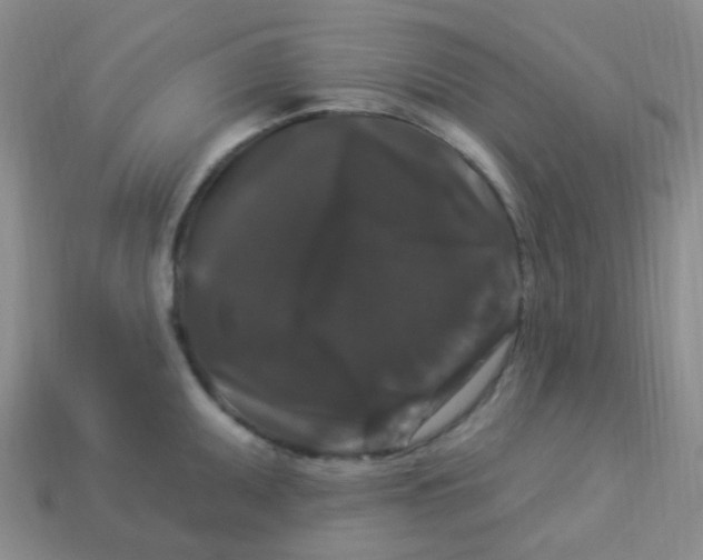 X0000113271095200910081355