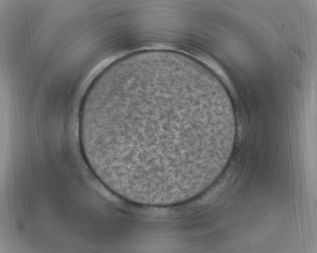 X0000113271096200910081355