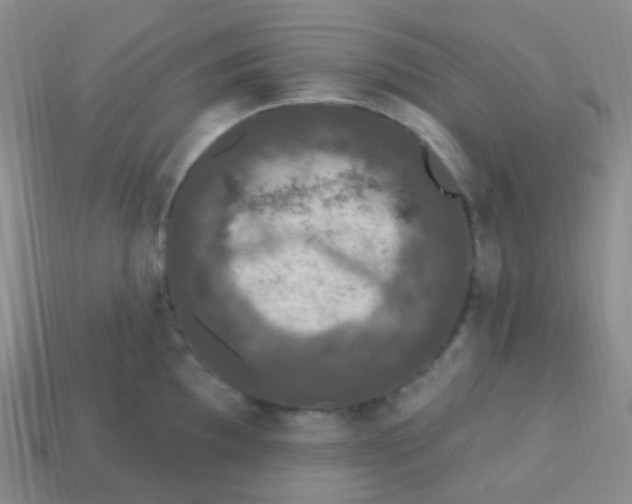 X0000113271097200910081355