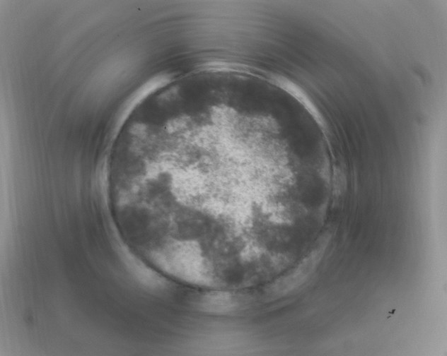 X0000113271098200910081355