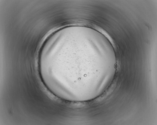 X0000113271099200910081355