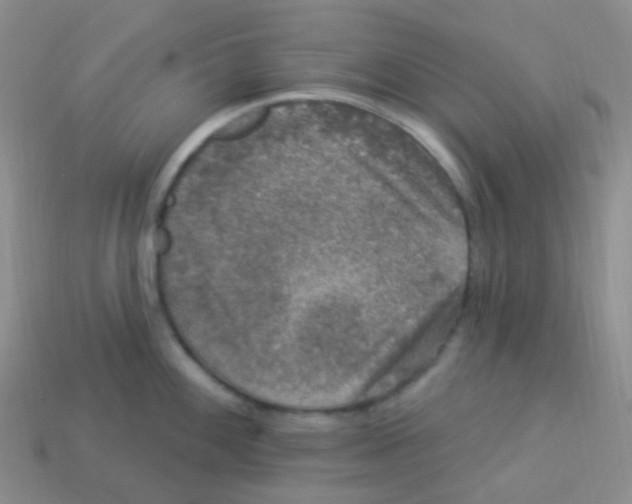 X0000113271100200910081355