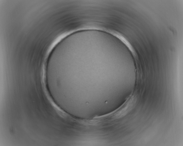 X0000113271101200910081355