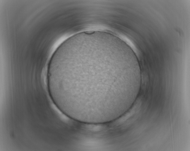 X0000113271103200910081355