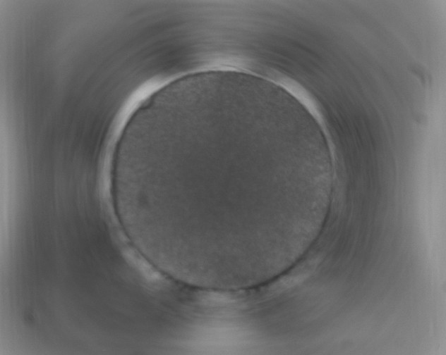 X0000113271104200910081355