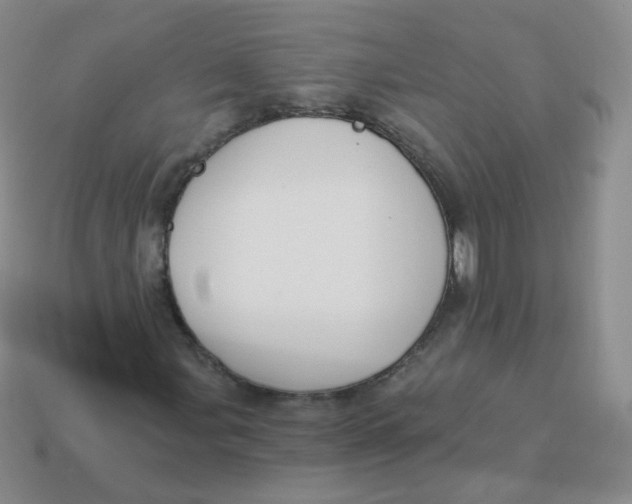 X0000113271107200910081355