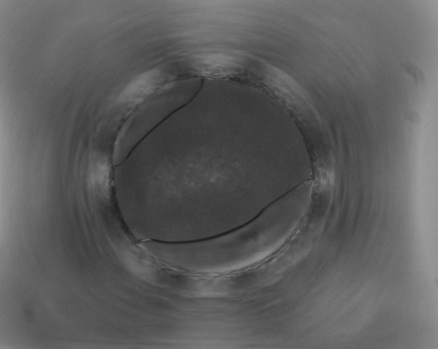 X0000113271108200910081355